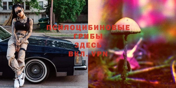 соль ск Белоозёрский