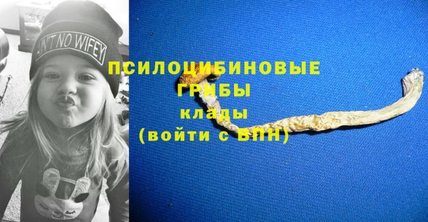 соль ск Белоозёрский