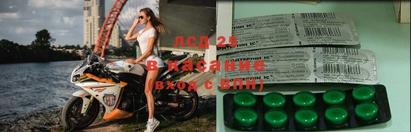 mdma Белокуриха