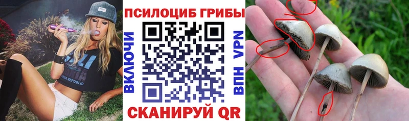 Галлюциногенные грибы MAGIC MUSHROOMS  Саранск 